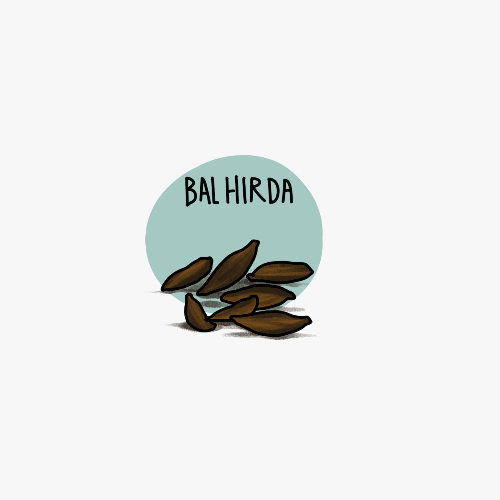 Bal Hirda बाळ हिरडा
