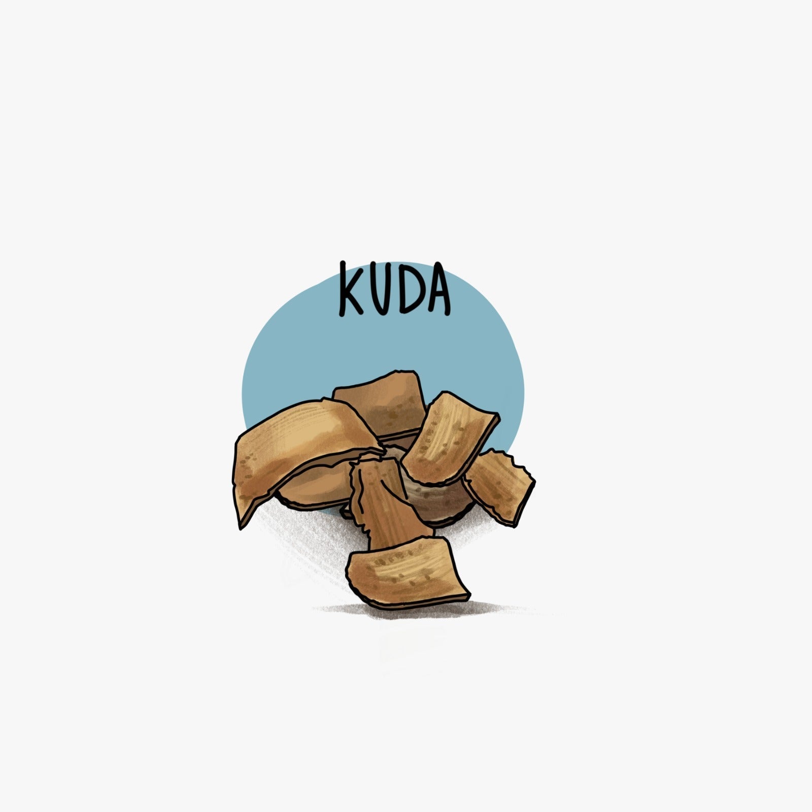 Kuda कुडा