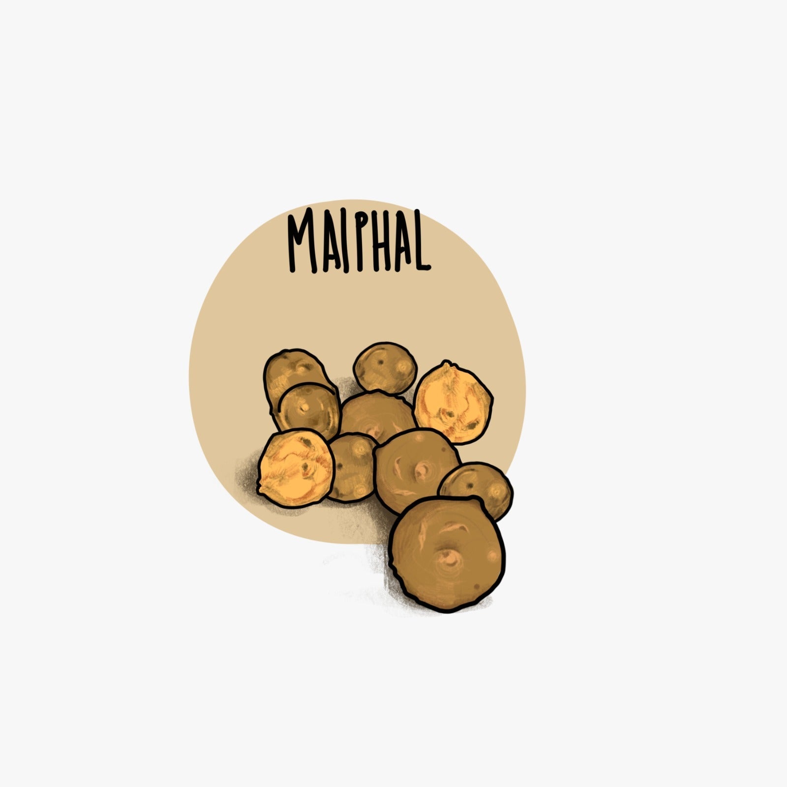 Maiphal मायफळ
