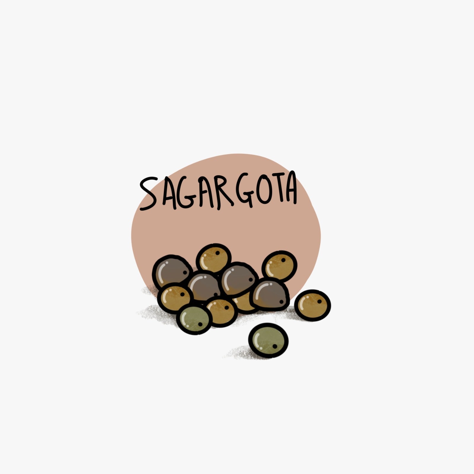 Sagargota सागरगोटा